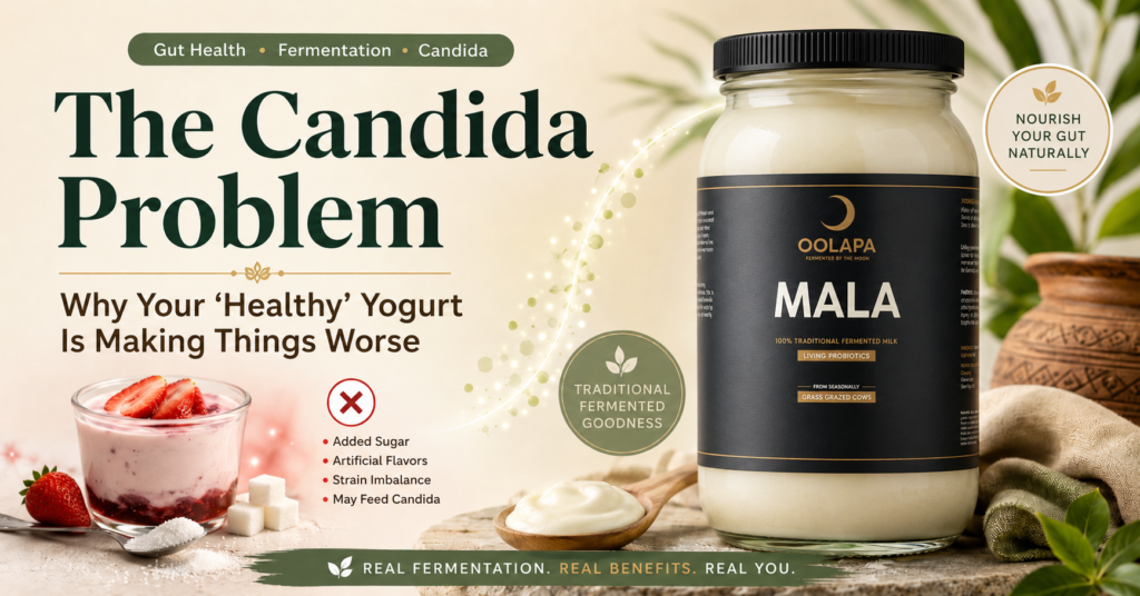 The Candida Problem