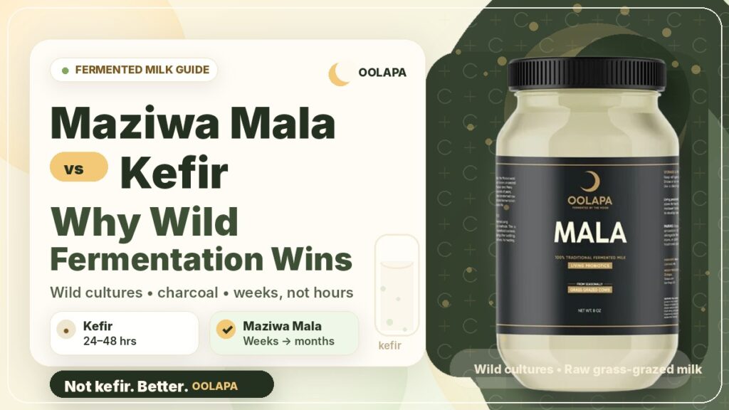 Oolapa Maziwa Mala vs. Kefir: Why Wild Fermentation Wins